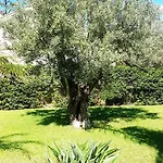 Rivamare 4* Calalunga-Pietragrande