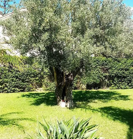 Rivamare 4* Calalunga-Pietragrande