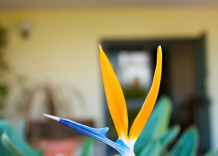 Apartmanhotel Rivamare