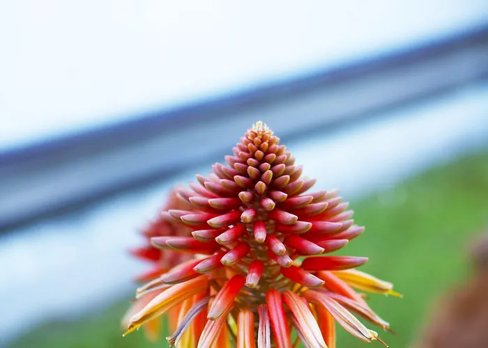 Apartmanhotel Rivamare