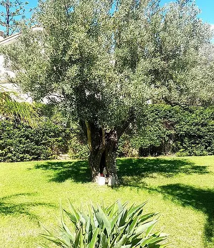 Rivamare 4* Calalunga-Pietragrande